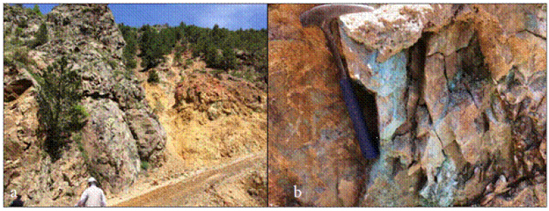 31-2 Türkiye'deki intrüzif kayaların tektojenetik sınıflandırılması, metalojenik provensler  (Doğu Pontitler Kaçkar Batoliti)
